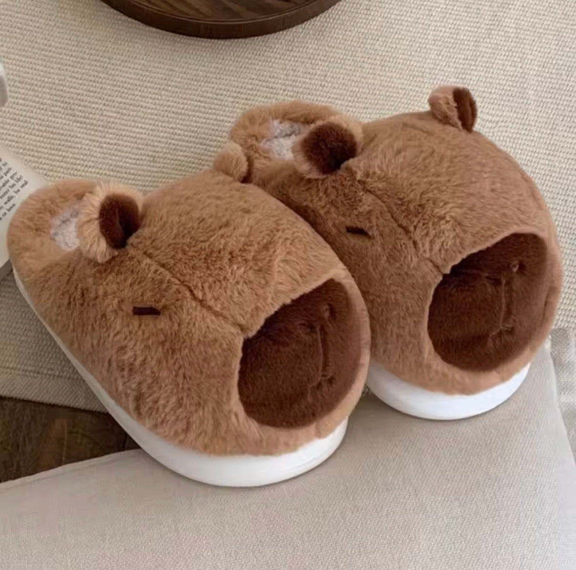 Capybara Slippers