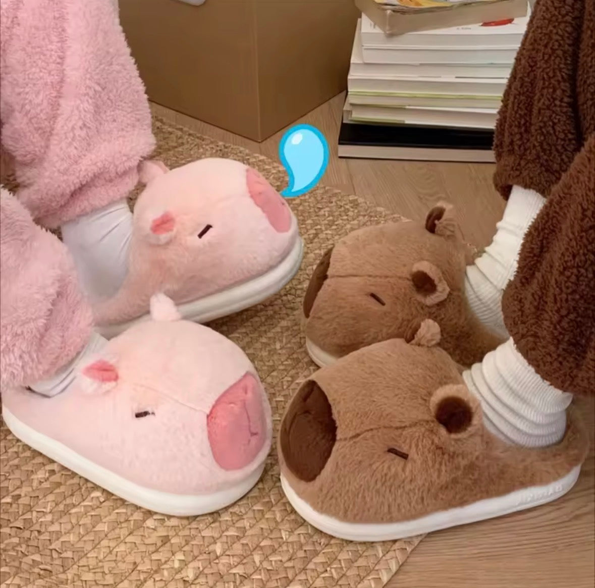 Capybara Slippers
